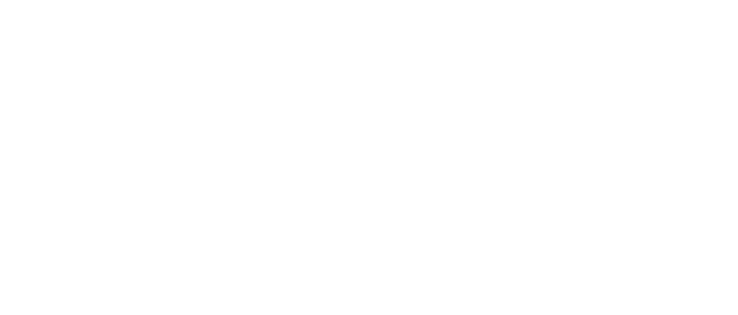 西雅苏新疆炒米粉